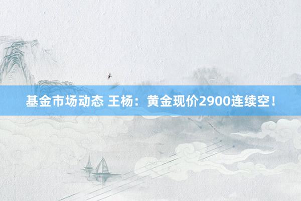 基金市场动态 王杨：黄金现价2900连续空！