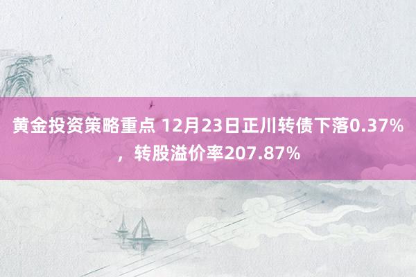 黄金投资策略重点 12月23日正川转债下落0.37%，转股溢价率207.87%