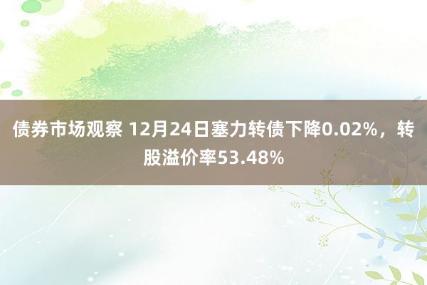 债券市场观察 12月24日塞力转债下降0.02%，转股溢价率53.48%