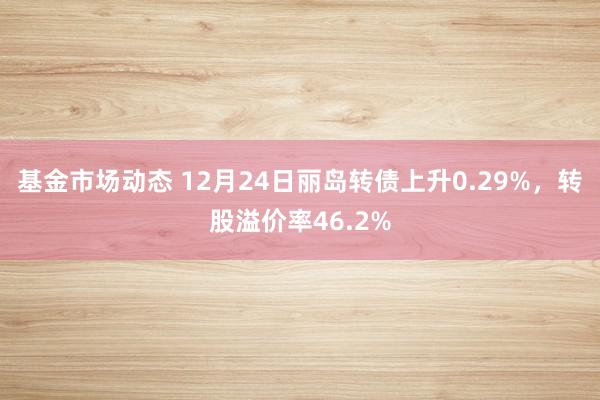 基金市场动态 12月24日丽岛转债上升0.29%，转股溢价率46.2%