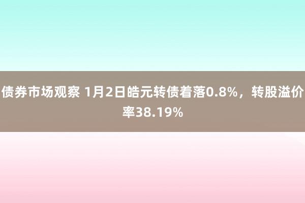 债券市场观察 1月2日皓元转债着落0.8%，转股溢价率38.19%