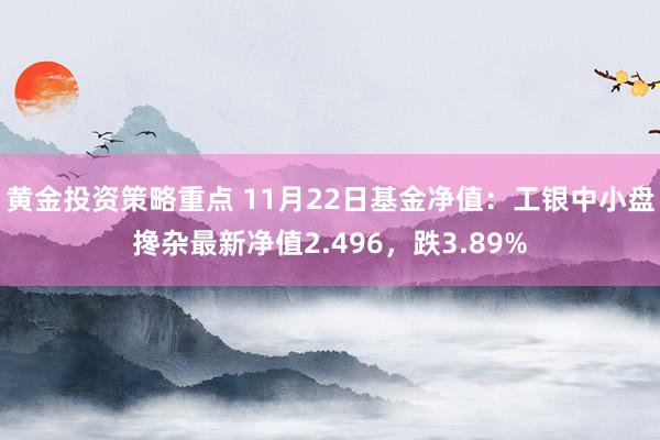 黄金投资策略重点 11月22日基金净值：工银中小盘搀杂最新净值2.496，跌3.89%