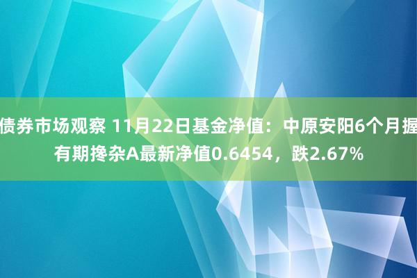 债券市场观察 11月22日基金净值：中原安阳6个月握有期搀杂A最新净值0.6454，跌2.67%