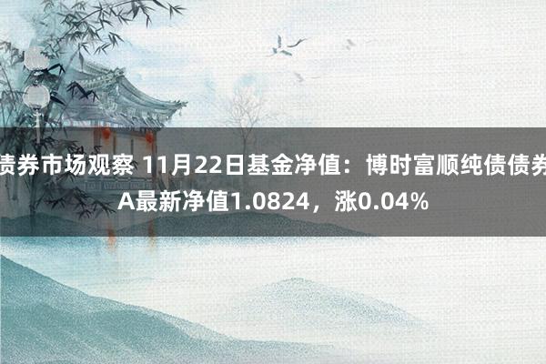 债券市场观察 11月22日基金净值：博时富顺纯债债券A最新净值1.0824，涨0.04%