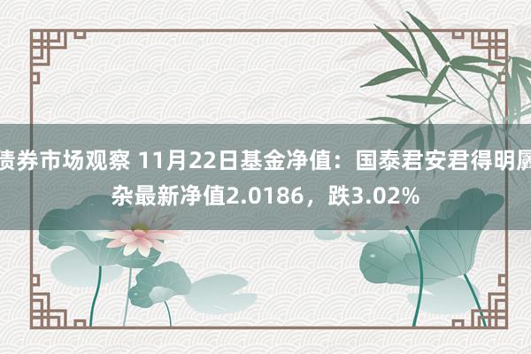 债券市场观察 11月22日基金净值：国泰君安君得明羼杂最新净值2.0186，跌3.02%