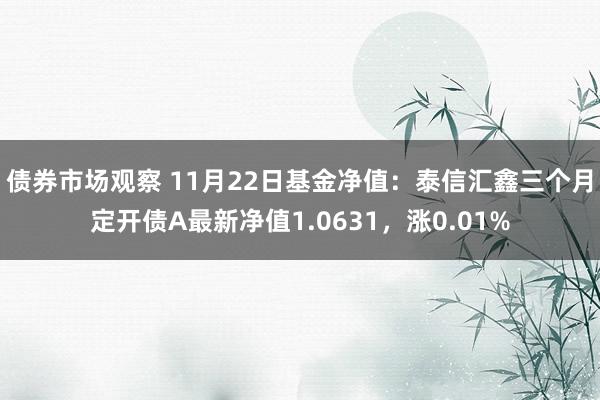 债券市场观察 11月22日基金净值：泰信汇鑫三个月定开债A最新净值1.0631，涨0.01%