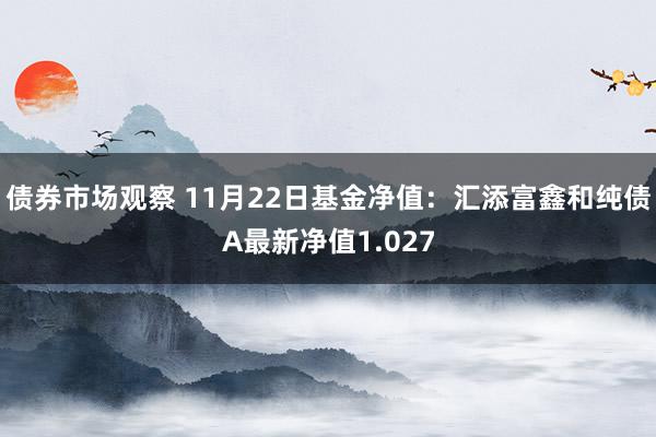 债券市场观察 11月22日基金净值：汇添富鑫和纯债A最新净值1.027