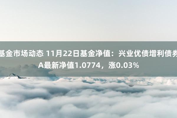 基金市场动态 11月22日基金净值：兴业优债增利债券A最新净值1.0774，涨0.03%