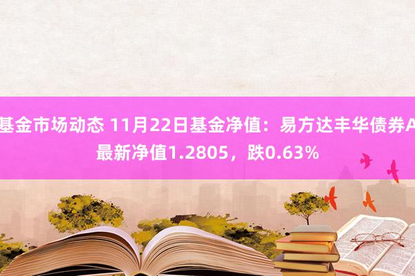 基金市场动态 11月22日基金净值：易方达丰华债券A最新净值1.2805，跌0.63%