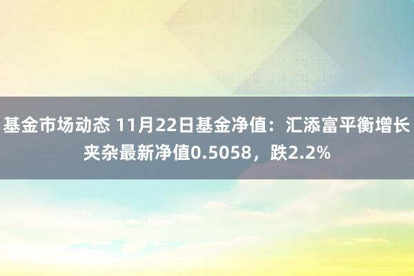 基金市场动态 11月22日基金净值：汇添富平衡增长夹杂最新净值0.5058，跌2.2%