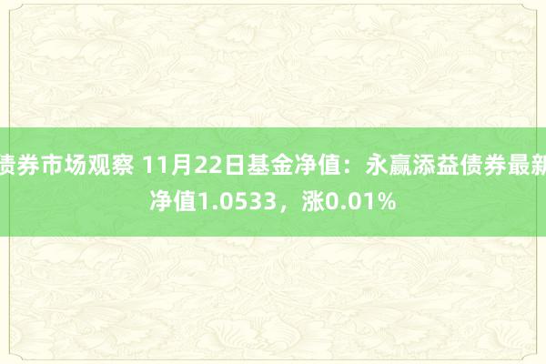 债券市场观察 11月22日基金净值：永赢添益债券最新净值1.0533，涨0.01%