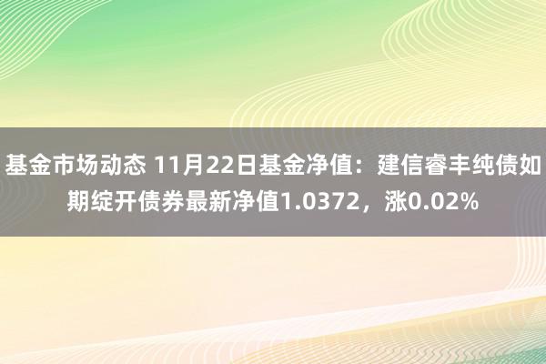 基金市场动态 11月22日基金净值：建信睿丰纯债如期绽开债券最新净值1.0372，涨0.02%