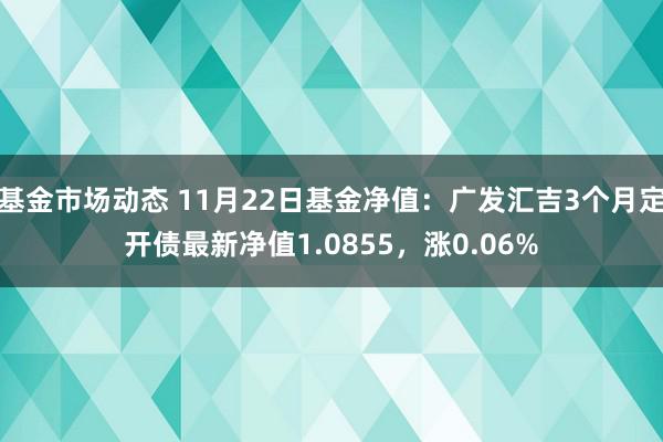 基金市场动态 11月22日基金净值：广发汇吉3个月定开债最新净值1.0855，涨0.06%