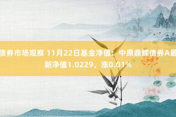 债券市场观察 11月22日基金净值：中原鼎辉债券A最新净值1.0229，涨0.01%