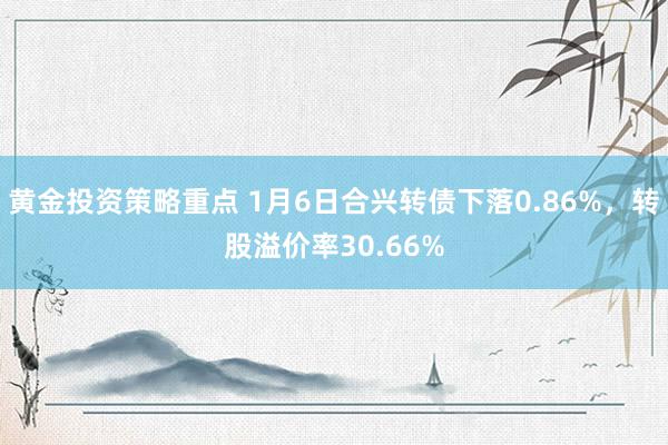 黄金投资策略重点 1月6日合兴转债下落0.86%，转股溢价率30.66%