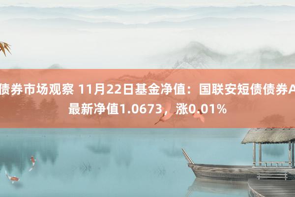 债券市场观察 11月22日基金净值：国联安短债债券A最新净值1.0673，涨0.01%