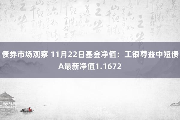 债券市场观察 11月22日基金净值：工银尊益中短债A最新净值1.1672