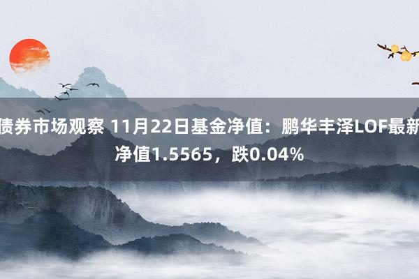 债券市场观察 11月22日基金净值：鹏华丰泽LOF最新净值1.5565，跌0.04%