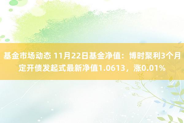 基金市场动态 11月22日基金净值：博时聚利3个月定开债发起式最新净值1.0613，涨0.01%