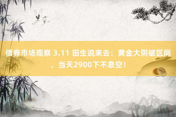 债券市场观察 3.11 田生说来去：黄金大阴破区间，当天2900下不息空！