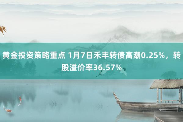 黄金投资策略重点 1月7日禾丰转债高潮0.25%，转股溢价率36.57%