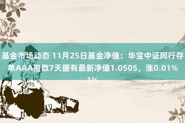 基金市场动态 11月25日基金净值：华宝中证同行存单AAA指数7天握有最新净值1.0505，涨0.01%