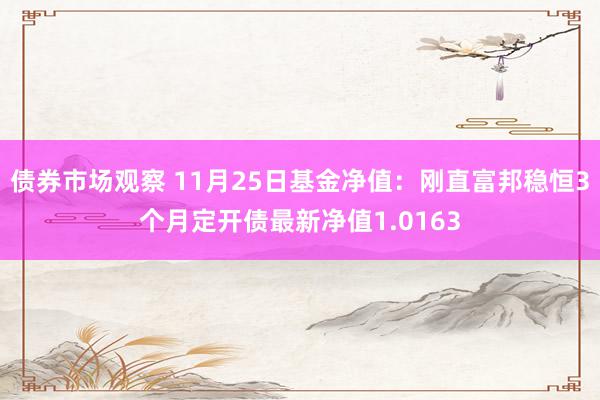 债券市场观察 11月25日基金净值：刚直富邦稳恒3个月定开债最新净值1.0163