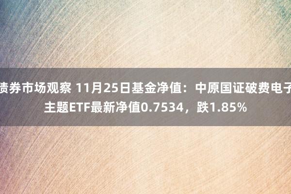 债券市场观察 11月25日基金净值：中原国证破费电子主题ETF最新净值0.7534，跌1.85%