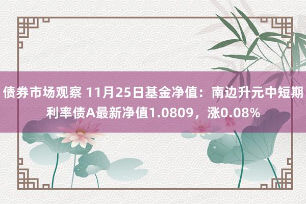 债券市场观察 11月25日基金净值：南边升元中短期利率债A最新净值1.0809，涨0.08%