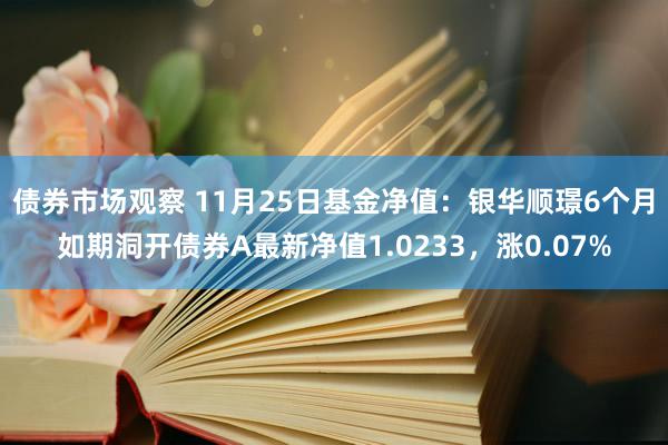 债券市场观察 11月25日基金净值：银华顺璟6个月如期洞开债券A最新净值1.0233，涨0.07%