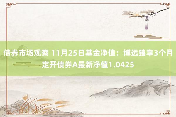 债券市场观察 11月25日基金净值：博远臻享3个月定开债券A最新净值1.0425