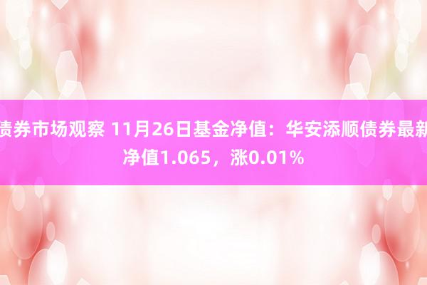 债券市场观察 11月26日基金净值：华安添顺债券最新净值1.065，涨0.01%