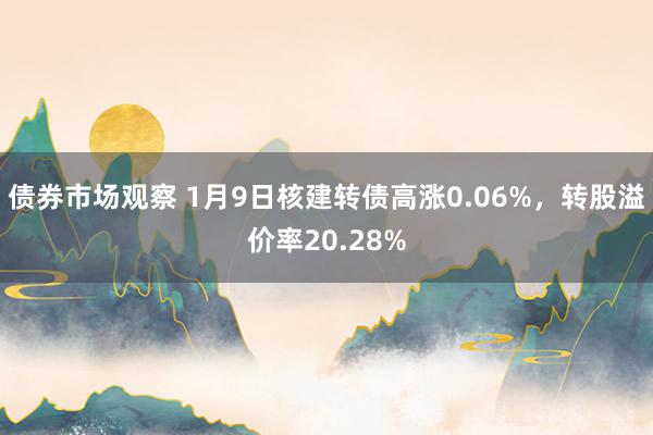 债券市场观察 1月9日核建转债高涨0.06%，转股溢价率20.28%