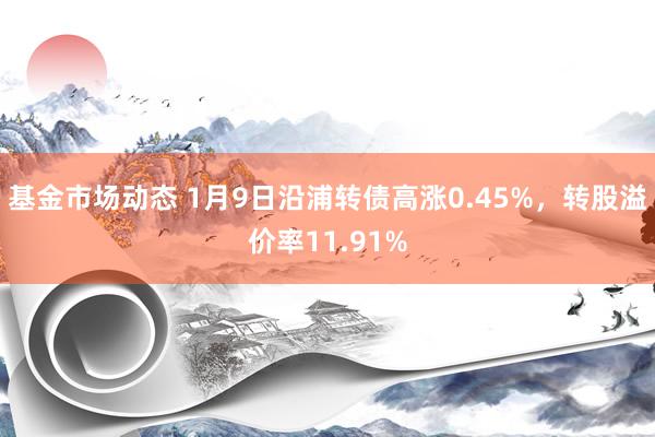 基金市场动态 1月9日沿浦转债高涨0.45%，转股溢价率11.91%