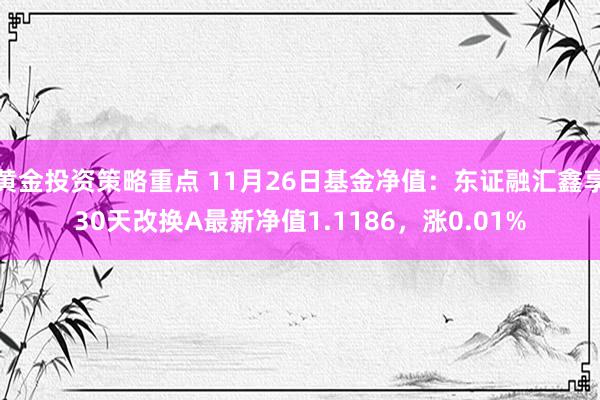 黄金投资策略重点 11月26日基金净值：东证融汇鑫享30天改换A最新净值1.1186，涨0.01%