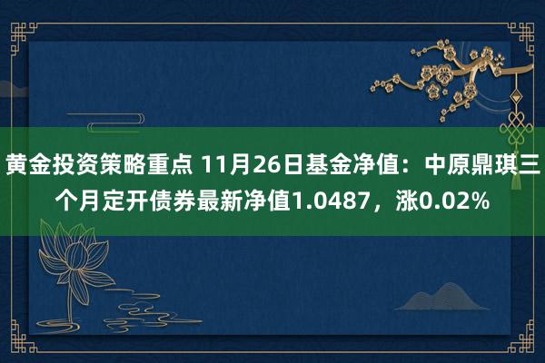 黄金投资策略重点 11月26日基金净值：中原鼎琪三个月定开债券最新净值1.0487，涨0.02%