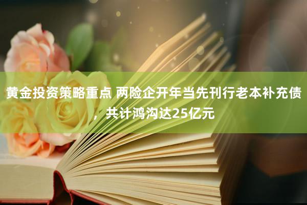 黄金投资策略重点 两险企开年当先刊行老本补充债，共计鸿沟达25亿元