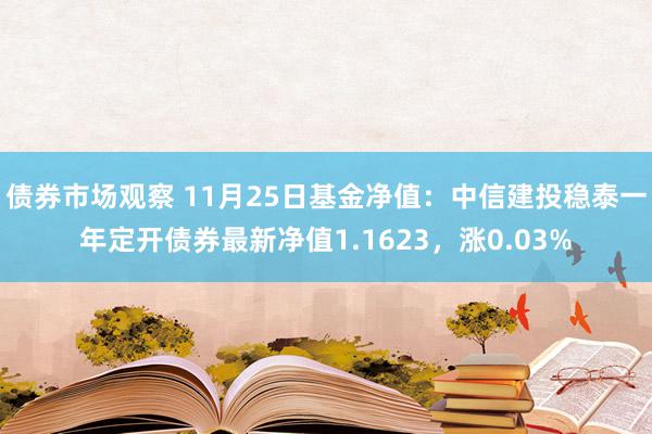 债券市场观察 11月25日基金净值：中信建投稳泰一年定开债券最新净值1.1623，涨0.03%