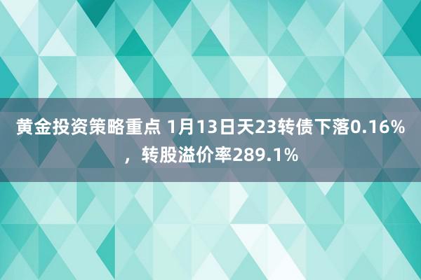 黄金投资策略重点 1月13日天23转债下落0.16%，转股溢价率289.1%