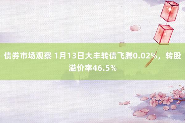 债券市场观察 1月13日大丰转债飞腾0.02%，转股溢价率46.5%